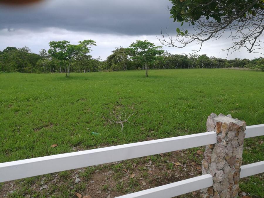 Foto Terreno en Venta en El Retiro, distrito de Antn, Llano Grande, Cocl - U$D 52.000 - TEV33662 - BienesOnLine