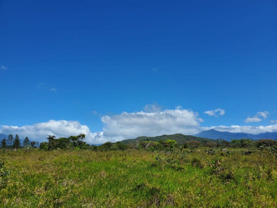 Foto Terreno en Venta en Corregimiento de alto boquete, Alto Boquete, Chiriqu - 8172 hectareas - U$D 326.880 - TEV61346 - BienesOnLine