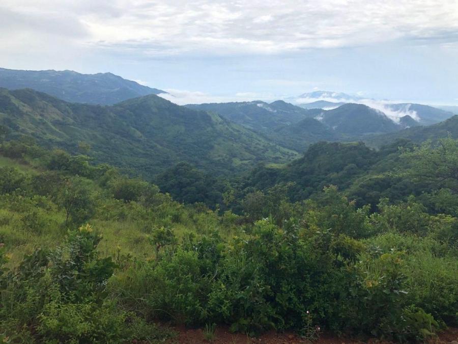 Foto Terreno en Venta en Sora, Chame, Panam - 17 hectareas - U$D 1.800.000 - TEV37065 - BienesOnLine