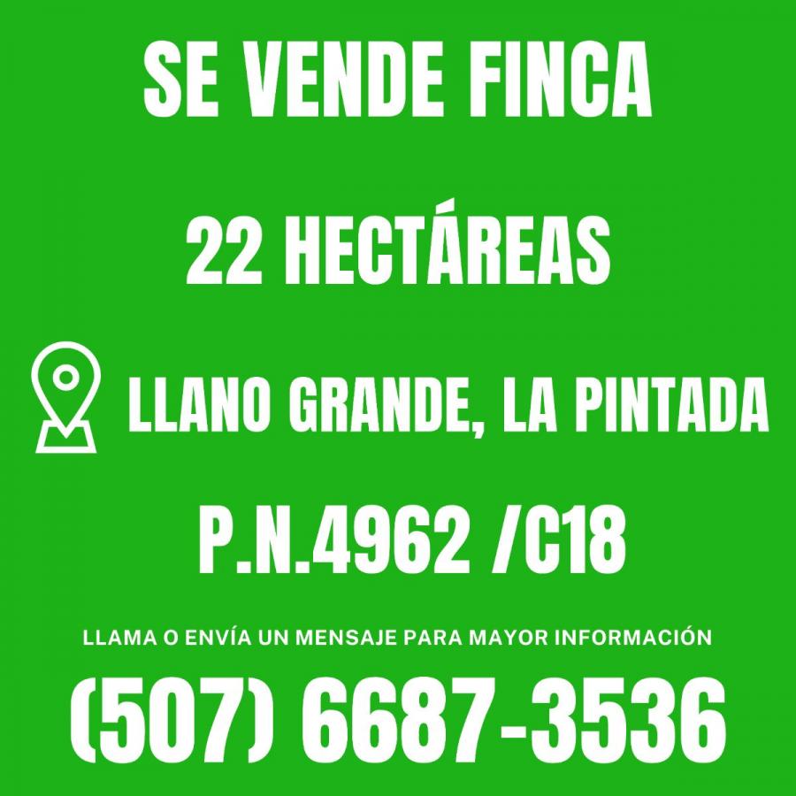 Foto Finca en Venta en Penonomé, La Pintada, Coclé - U$D 1.800.000.000 - FIV65695 - BienesOnLine