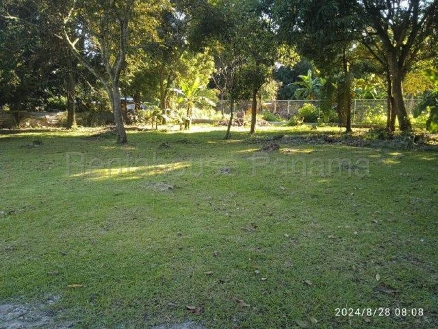 Foto Terreno en Venta en Campana, Chame, Panamá Oeste - U$D 65.000 - TEV83773 - BienesOnLine