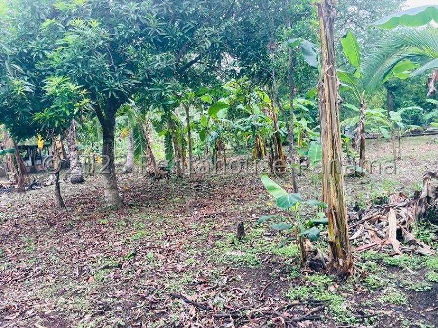 Foto Terreno en Venta en cocle, Coclé - U$D 45.000 - TEV64955 - BienesOnLine