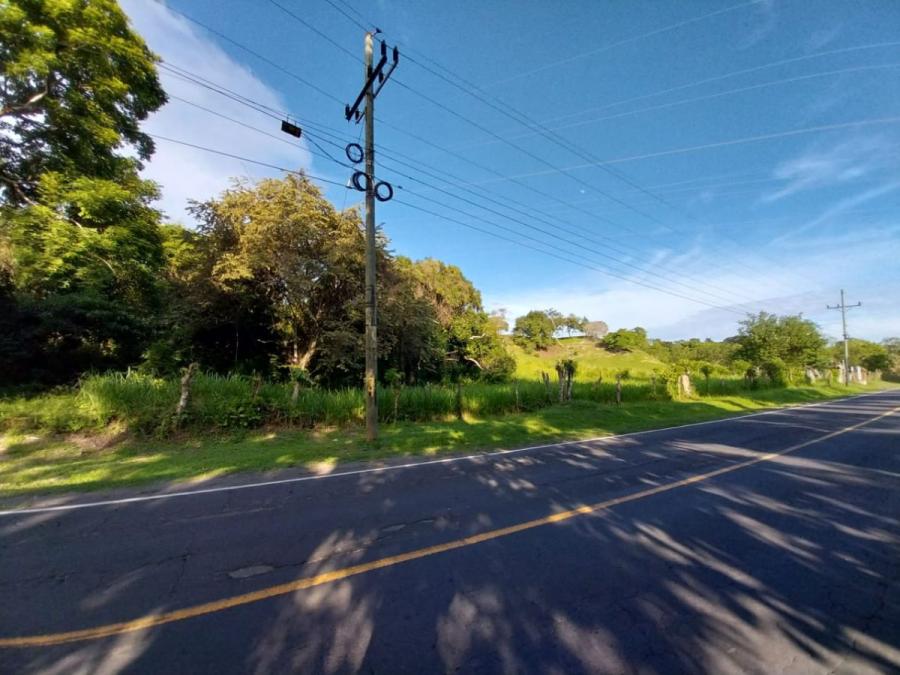 Foto Terreno en Venta en Las Uvas, San Carlos, Panam - 5 hectareas - U$D 224.560 - TEV67446 - BienesOnLine