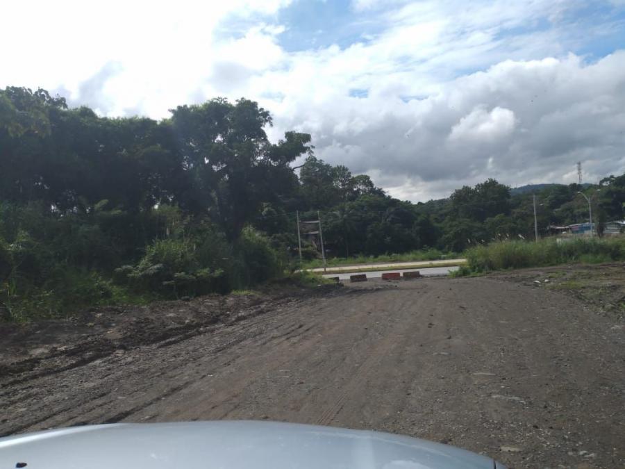 Foto Terreno en Venta en Panam Norte, Ciudad de Panam, Panam - 71 hectareas - U$D 20.000.000 - TEV61483 - BienesOnLine
