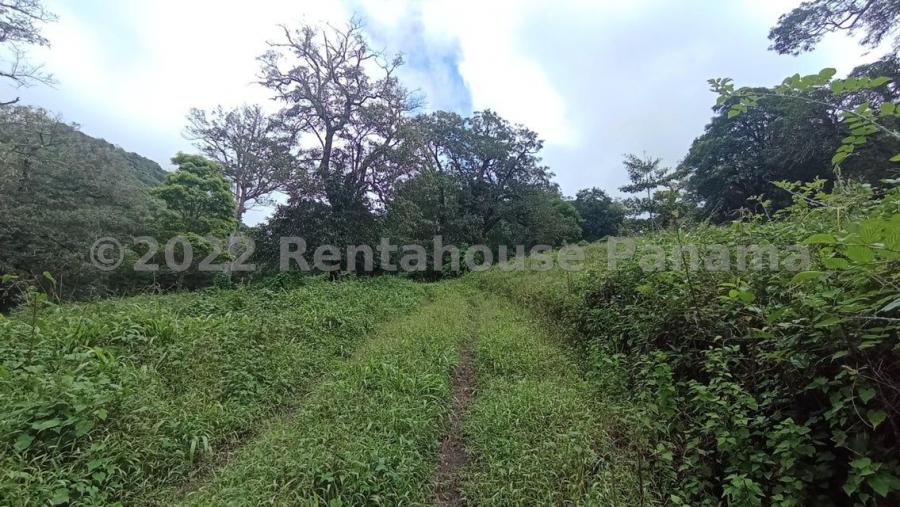 Foto Terreno en Venta en Chiriqui, Panam - U$D 500.000 - TEV67547 - BienesOnLine