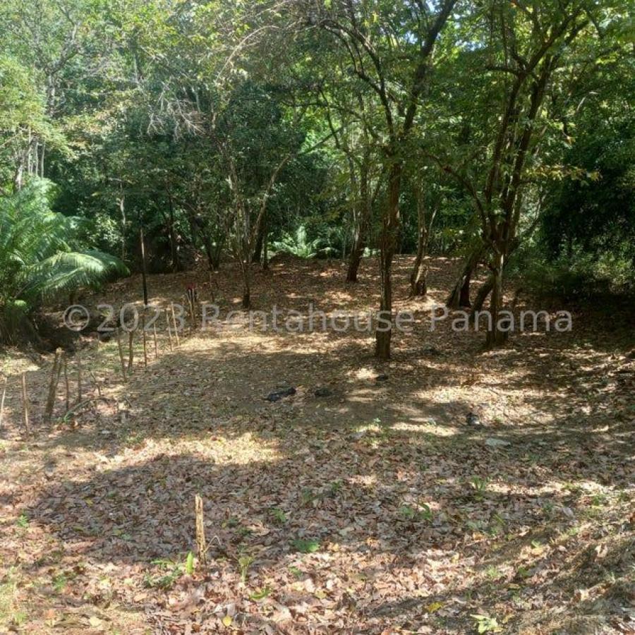 Foto Terreno en Venta en Las Cumbres, Panam - U$D 59.500 - TEV67540 - BienesOnLine