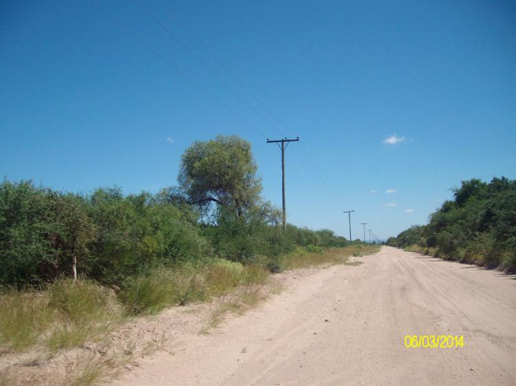 Foto Campo en Venta en San Luis, San Luis - 5 hectareas - $ 400.000 - CPV80830 - BienesOnLine