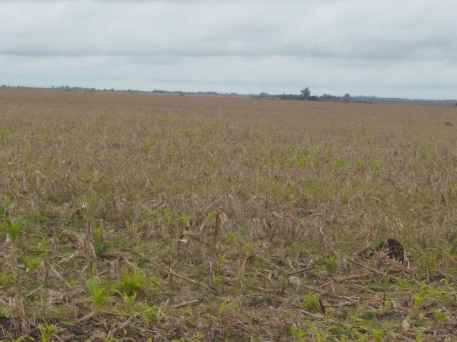 Campo en Venta en Villaguay, Entre Rios