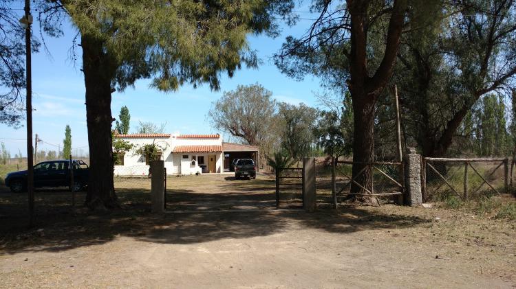 Foto Casa en Venta en General Alvear, Mendoza - 1 hectareas - $ 800 - CAV95862 - BienesOnLine