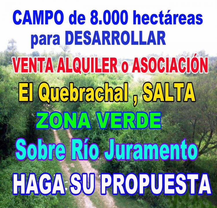 Foto Campo en Venta en El Quebrachal, Salta - 8000 hectareas - U$D 1.500 - CPV99593 - BienesOnLine