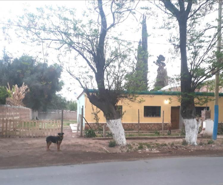 Foto Casa en Alquiler por temporada en Albardn, San Juan - $ 5.000 - CAT98762 - BienesOnLine