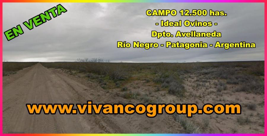 Foto Campo en Venta en Chelforo, Rio Negro - 12500 hectareas - CPV9873 - BienesOnLine