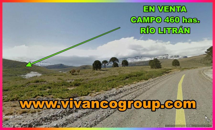Foto Campo en Venta en Villa Pehuenia, Neuqun - 460 hectareas - CPV104785 - BienesOnLine