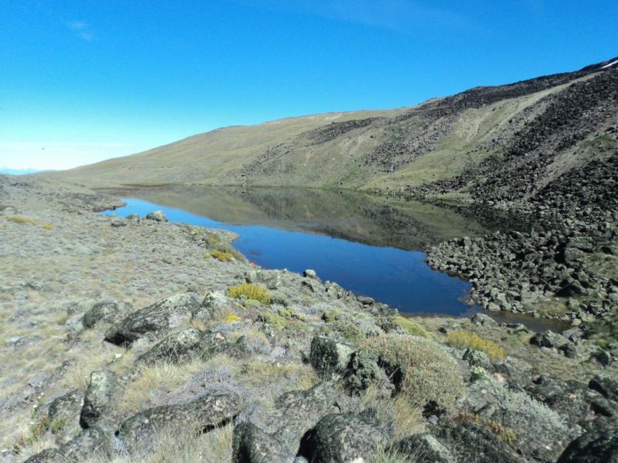 Foto Campo en Venta en El Calafate, Santa Cruz - U$D 1.500.000 - CPV113342 - BienesOnLine