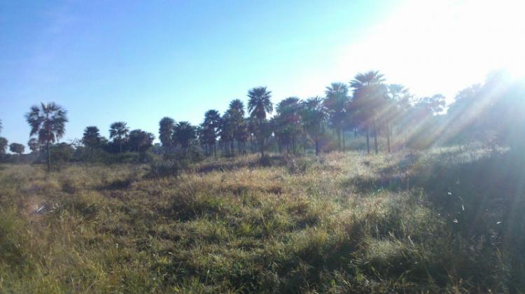 Foto Campo en Venta en Monte Lindo Chico, Colonia Pastoril, Formosa - 3338 hectareas - U$D 550 - CPV43233 - BienesOnLine