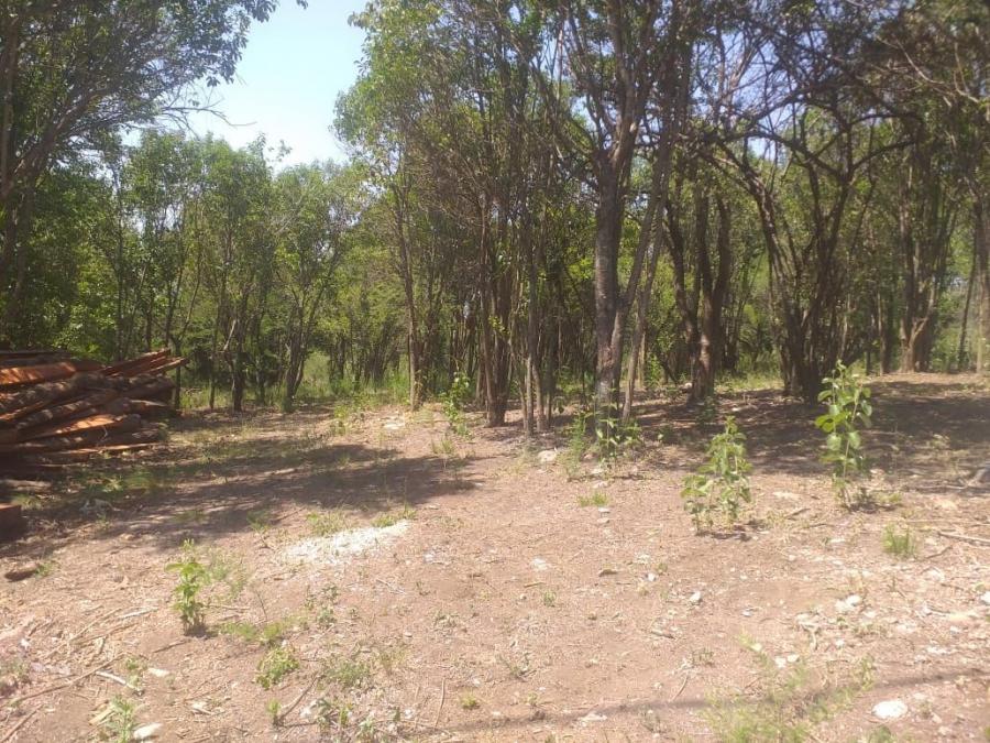 Terreno en Venta en Casa Grande, Córdoba