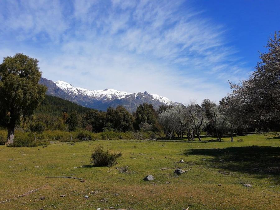 Foto Quinta en Venta en Faldeo boscoso Cerro El Cohiue, El Hoyo, Chubut - 19 hectareas - U$D 320.000 - QUV30157 - BienesOnLine