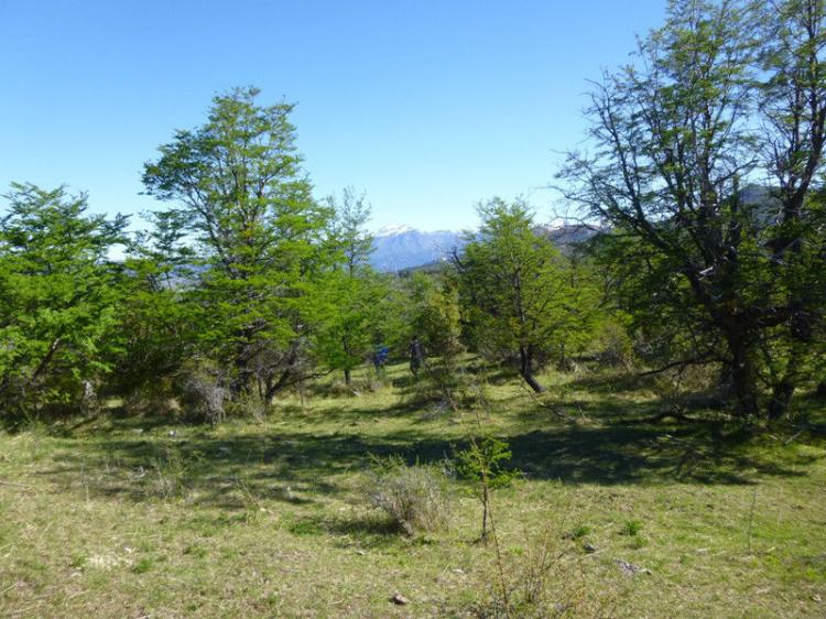 Foto Quinta en Venta en Camino al Wilson, Trevelin, Chubut - 4 hectareas - U$D 160.000 - QUV100818 - BienesOnLine