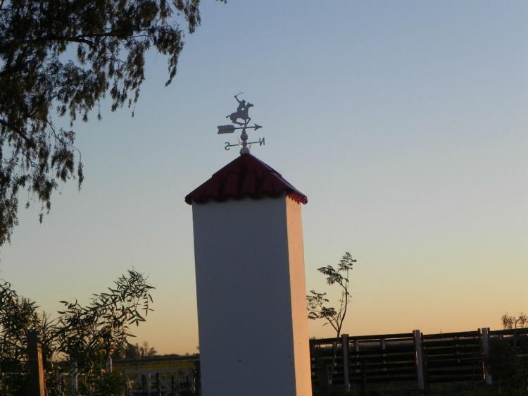 Campo en Alquiler en Gran Rosario Rosario, Santa Fe