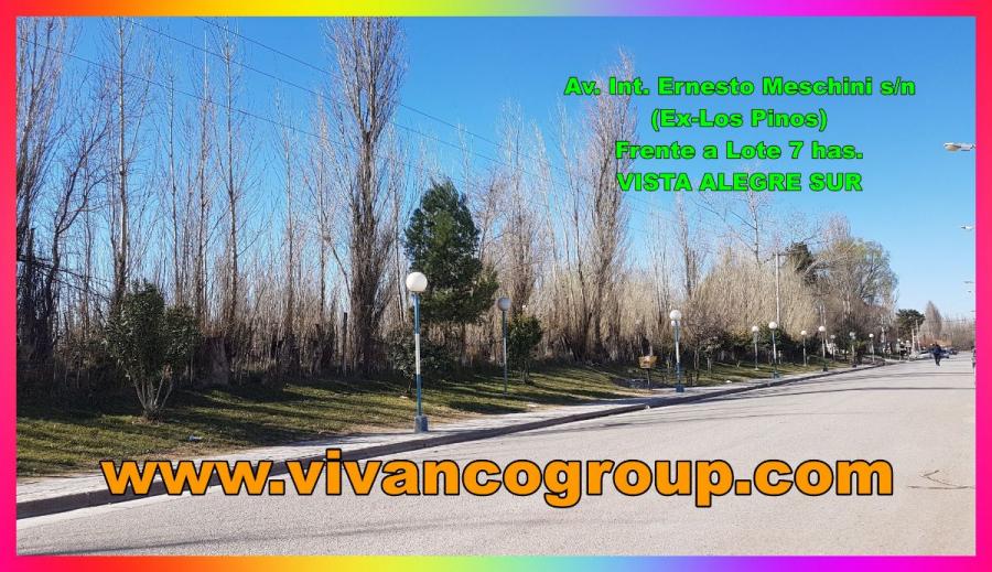 Foto Terreno en Venta en Vista Alegre, Neuqun - 7 hectareas - TEV68476 - BienesOnLine