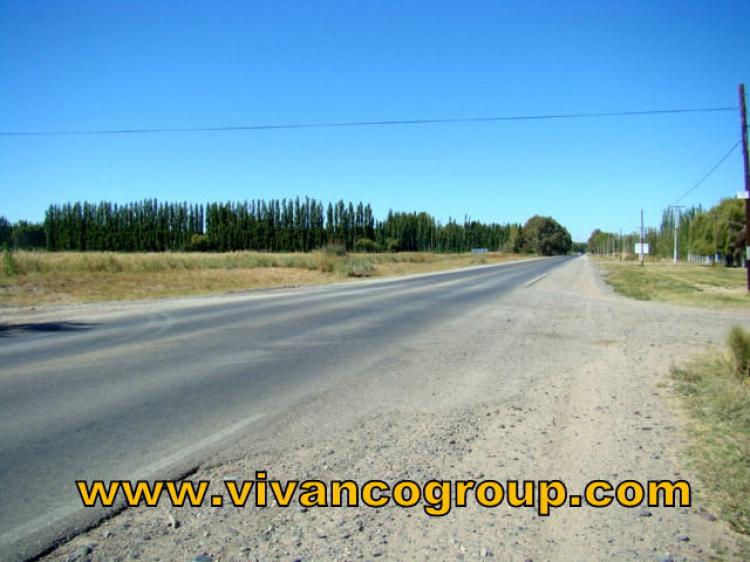 Foto Campo en Venta en Vista Alegre, Neuquen - 12 hectareas - CPV51213 - BienesOnLine