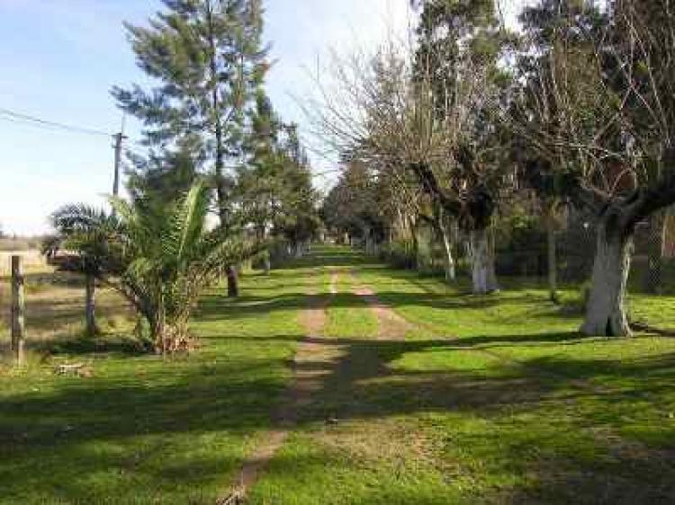 Foto Campo en Venta en Pontevedra, Buenos Aires - U$D 270.000 - CPV92348 - BienesOnLine