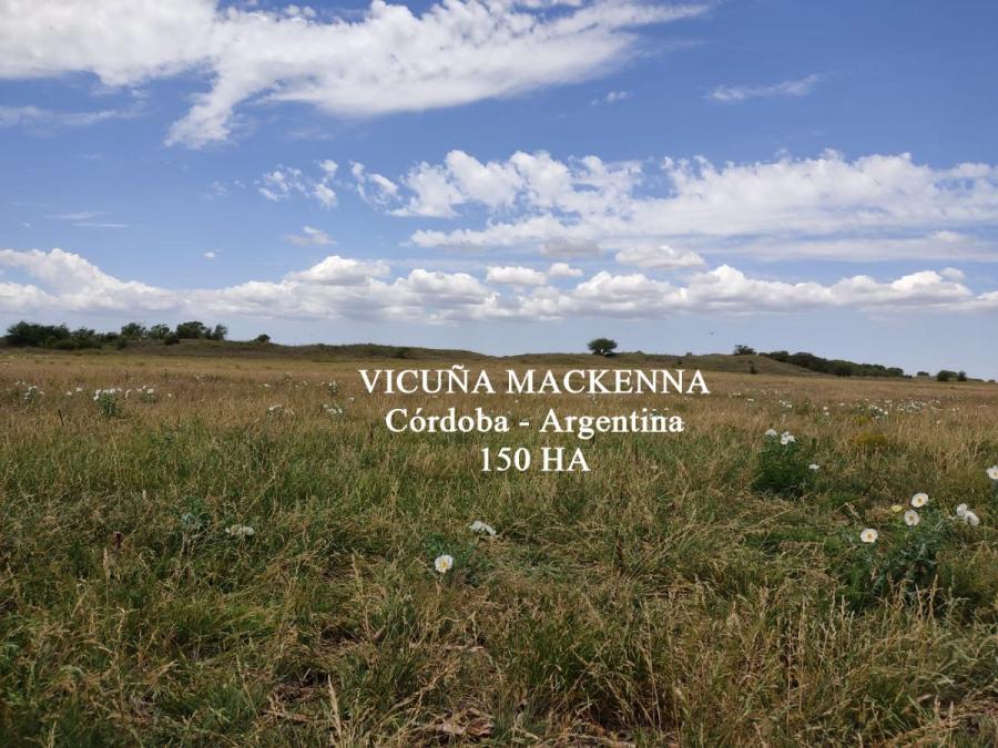 Foto Campo en Venta en Vicua Mackenna, Crdoba - U$D 525.000 - CPV116159 - BienesOnLine