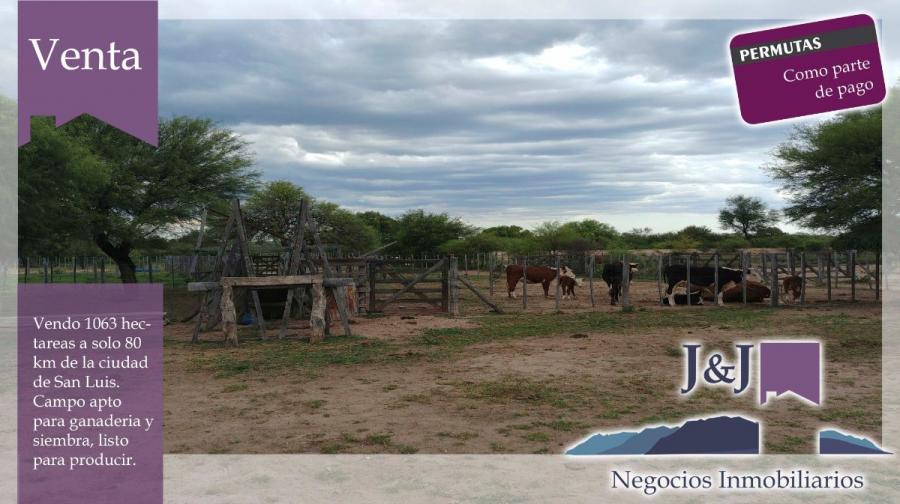 Foto Campo en Venta en San Luis, San Luis - 1063 hectareas - U$D 500 - CPV105929 - BienesOnLine