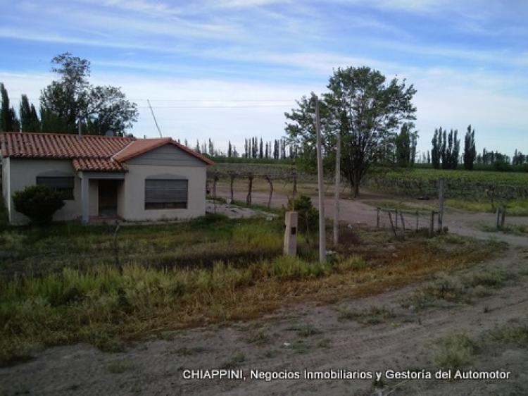 Foto Quinta en Venta en San Rafael, Mendoza - U$D 900.000 - QUV66411 - BienesOnLine