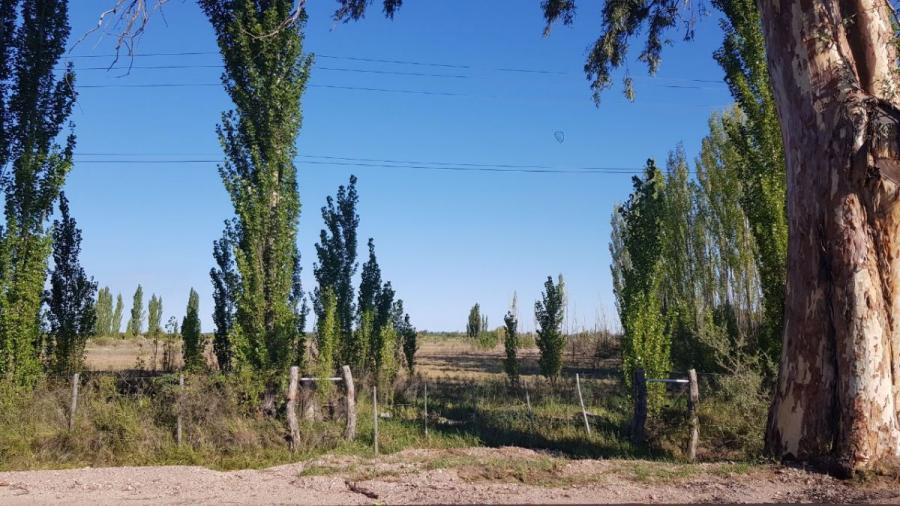 Foto Terreno en Venta en Alto del algarrobal, San Rafael, Mendoza - 6 hectareas - U$D 50.000 - TEV101390 - BienesOnLine