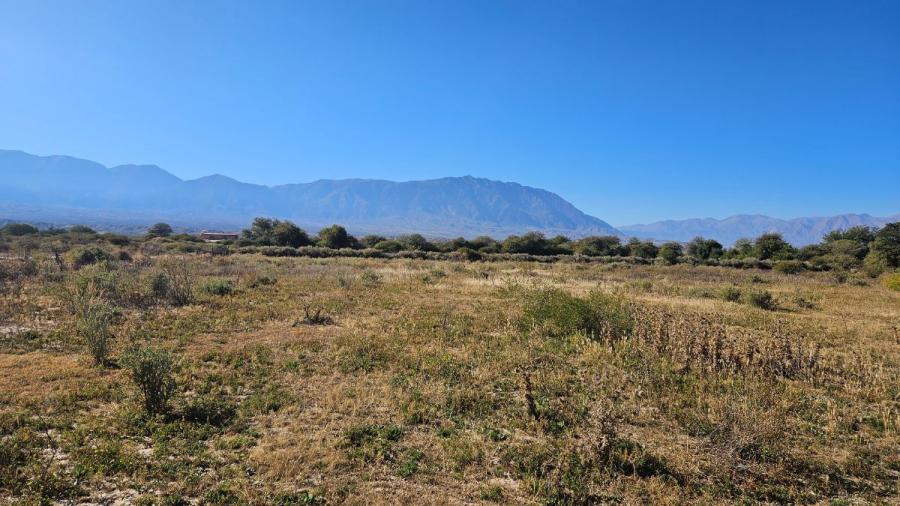 Foto Campo en Venta en San Carlos, Salta - 1482 hectareas - $ 20.000.000 - CPV114893 - BienesOnLine