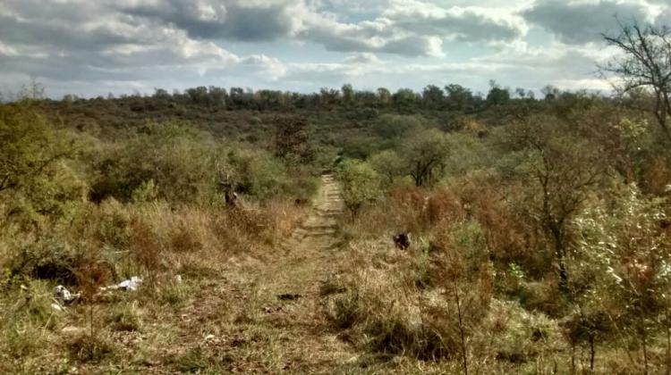 Terreno en Venta en Santa Rosa de Calamuchita, Córdoba