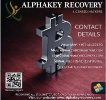 Alpha key recovery hacker expert