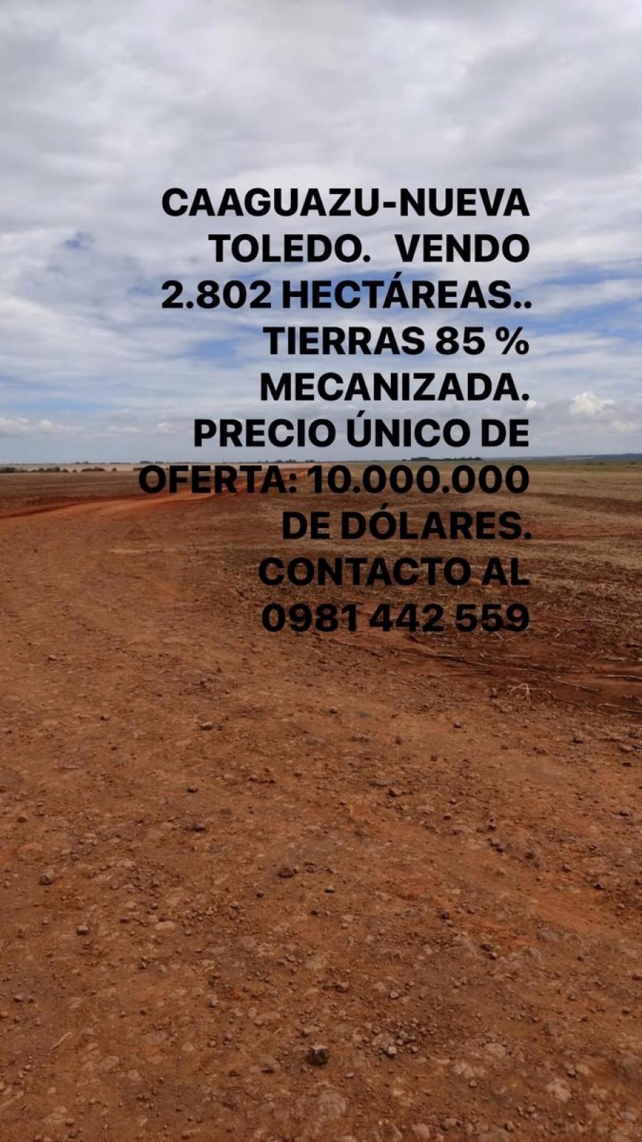 Foto Campo en Venta en Nueva Toledo, Caaguazú, Caaguazú - U$D 10.000.000 - CPV2658 - BienesOnLine