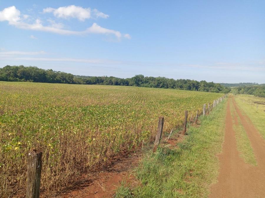 Campo en Venta en Encarnación