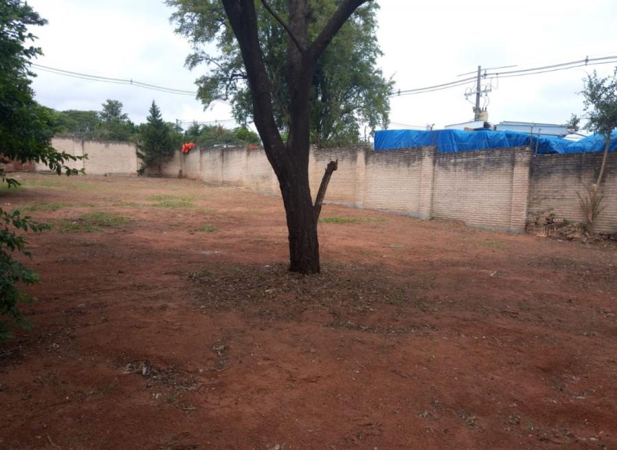 Foto Terreno en Alquiler en ITA ENRAMADA, Itá Enramada, Asunción - G 2.500.000 - TEA1506 - BienesOnLine