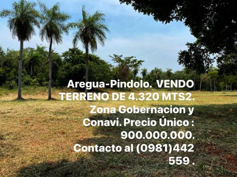 Foto Terreno en Venta en PINDOLO, Areguá, Central - U$D 900.000.000 - TEV2603 - BienesOnLine
