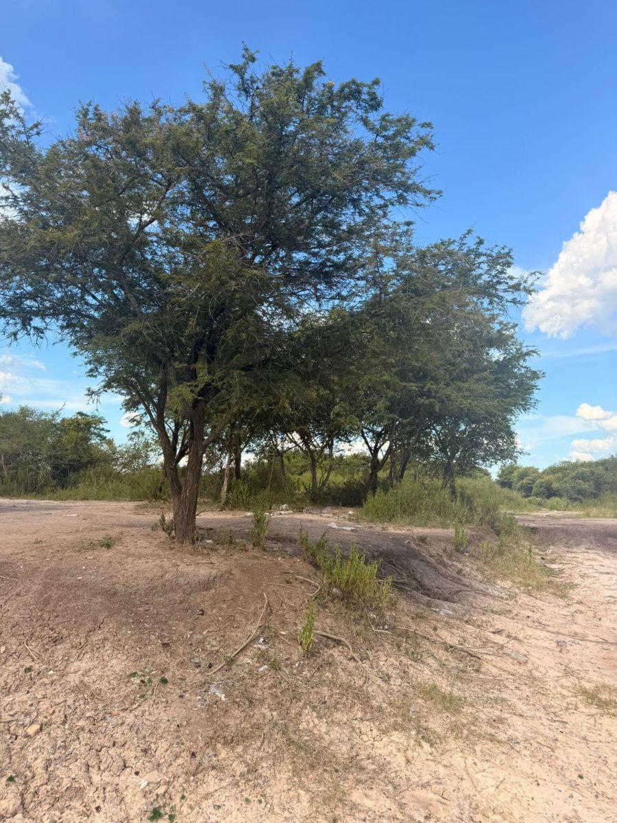 Terreno en Venta en Limpio