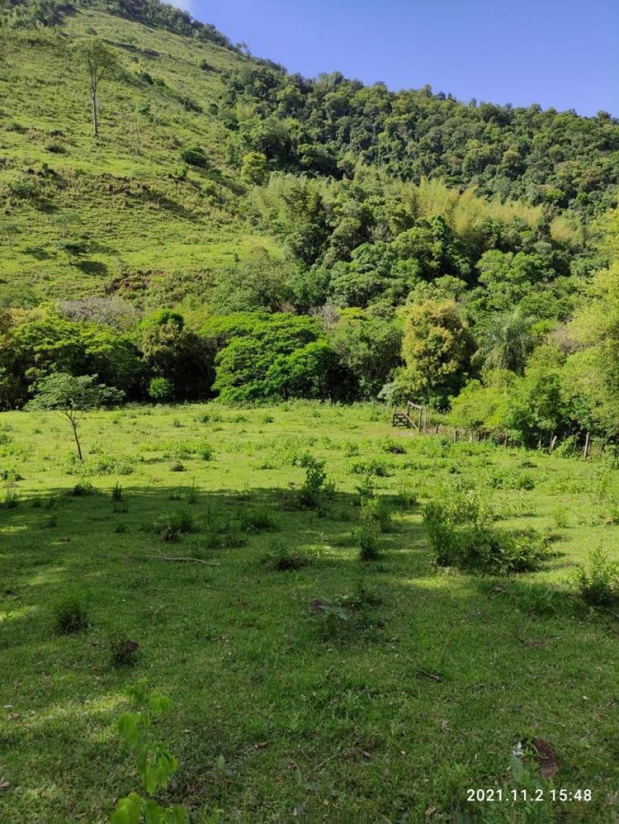 Foto Campo en Venta en Independencia, Guair - G 13.000.000 - CPV1759 - BienesOnLine