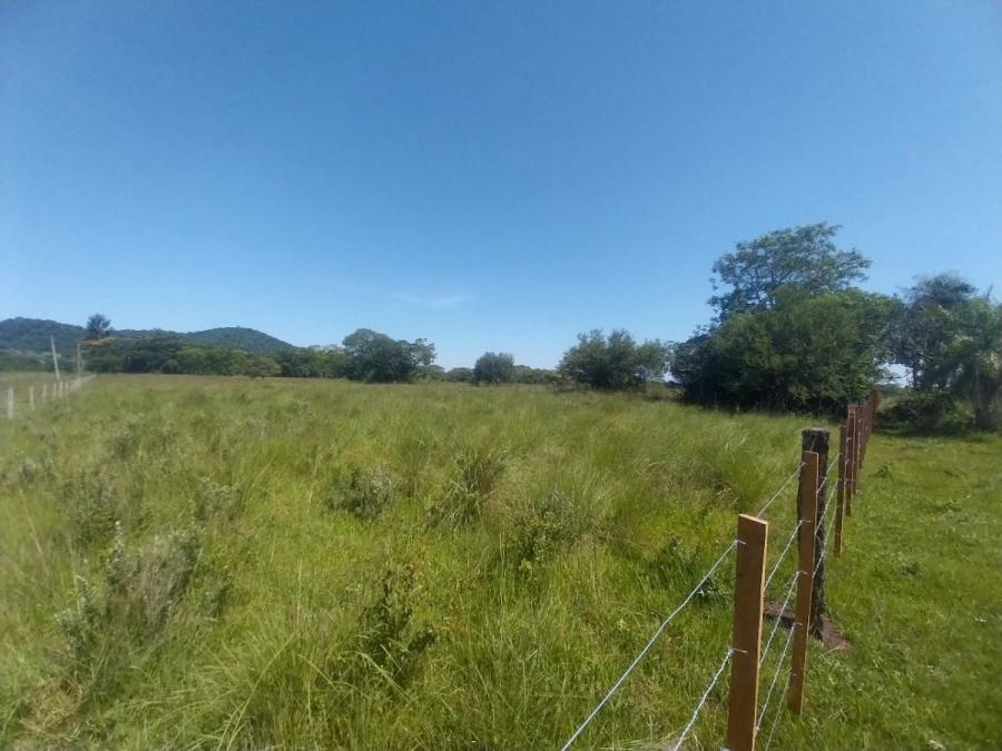 Foto Campo en Venta en Chircal / Escobar, Paraguarí Capital, Paraguarí - 10 hectareas - G 370.000.000 - CPV2609 - BienesOnLine