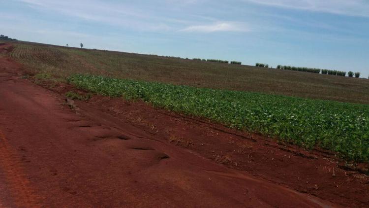 Foto En Venta Propiedad Agrícola de fácil acceso y alto rendimiento.