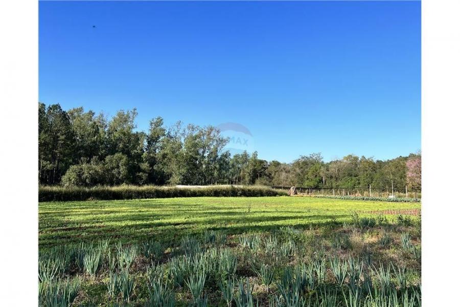 Foto Terreno en Venta en Capitán Miranda, Itapúa - G 250.000.000 - TEV1573 - BienesOnLine