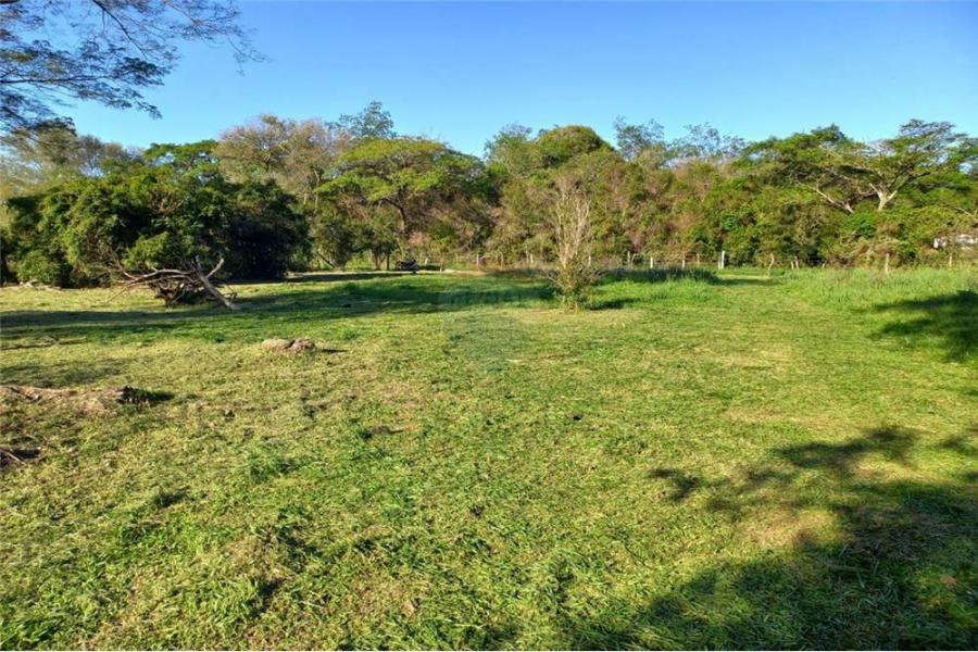 Foto Terreno en Venta en Coronel Bogado, Itapúa - G 285.000.000 - TEV1524 - BienesOnLine