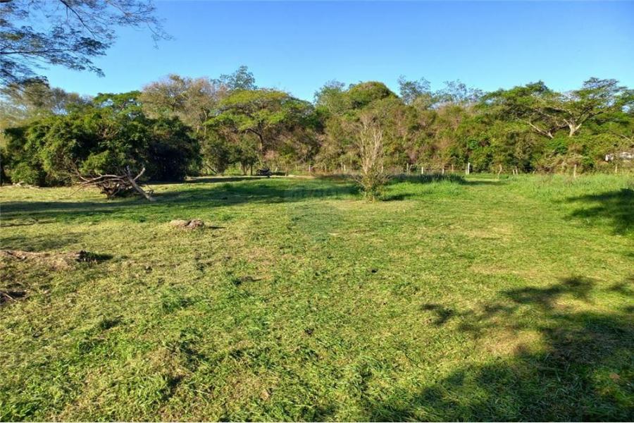 Foto Terreno en Venta en Coronel Bogado, Itapa - G 285.000.000 - TEV1524 - BienesOnLine