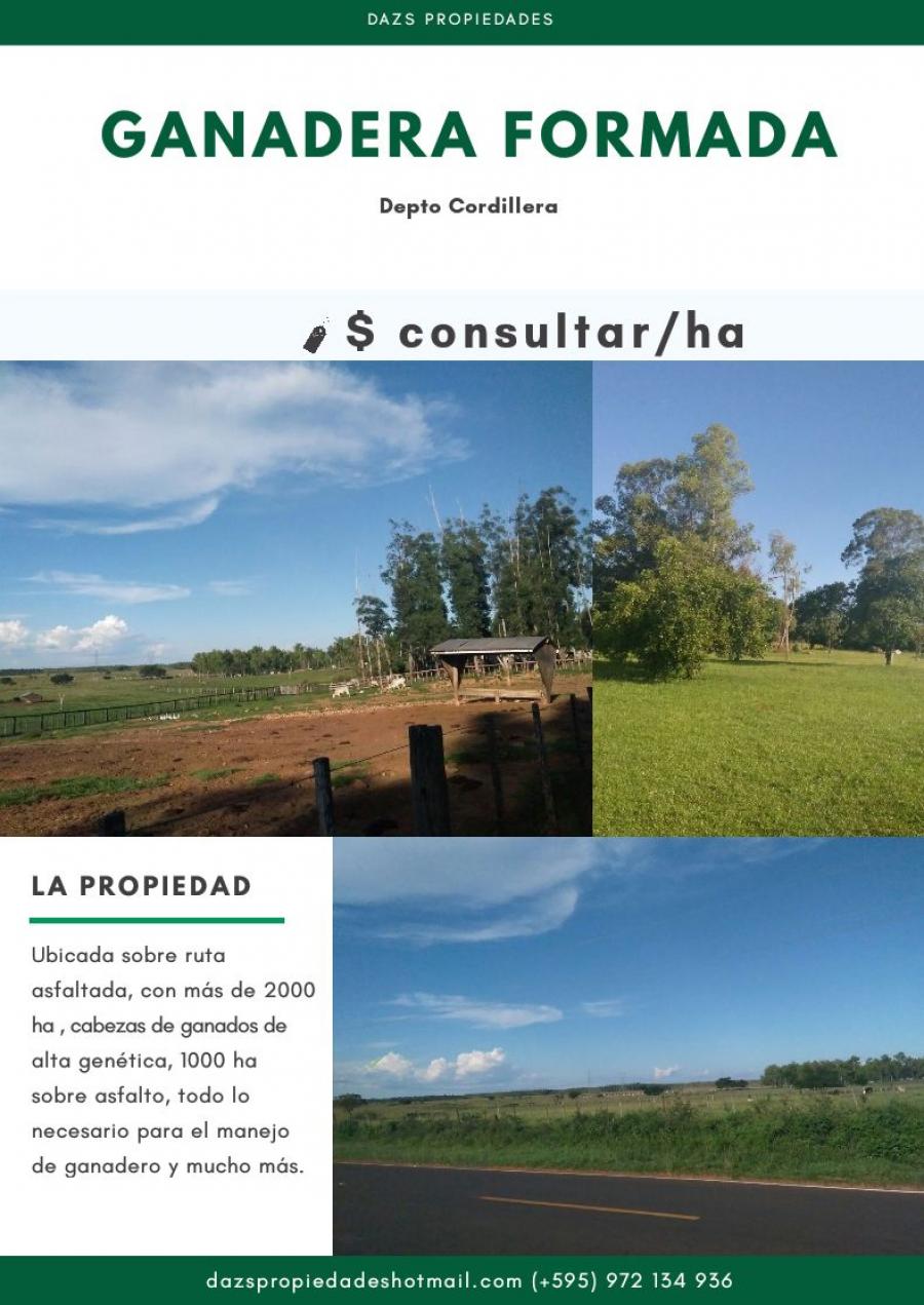 Foto Campo en Venta en Arroyos y Esteros, Cordillera - 2068 hectareas - CPV736 - BienesOnLine