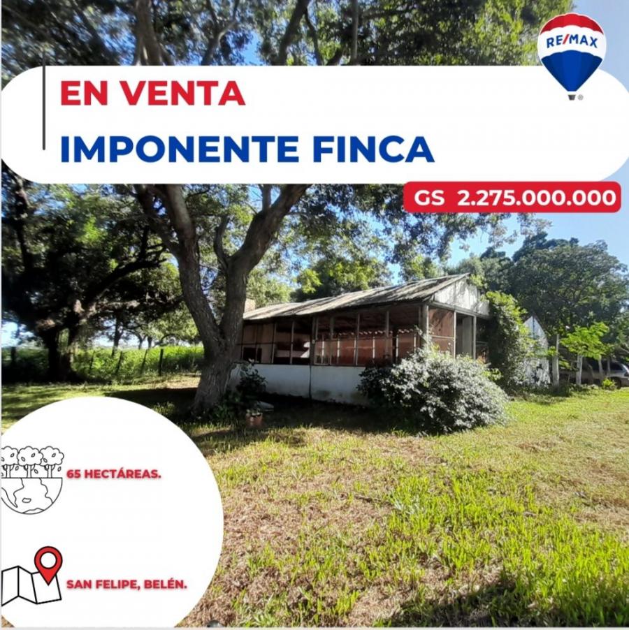 Foto Campo en Venta en Beln, Concepcin - G 2.147.483.647 - CPV1787 - BienesOnLine