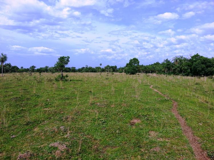 Foto Campo en Venta en Tobat, Cordillera - 59 hectareas - CPV345 - BienesOnLine