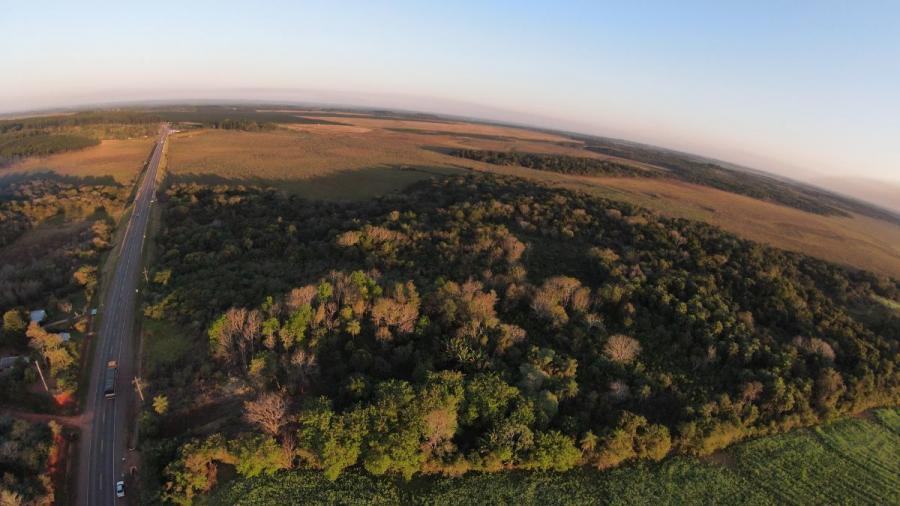 Foto Campo en Venta en Isla Yobai, Isla Yobai, Caazapá - 128 hectareas - U$D 292.000 - CPV2393 - BienesOnLine