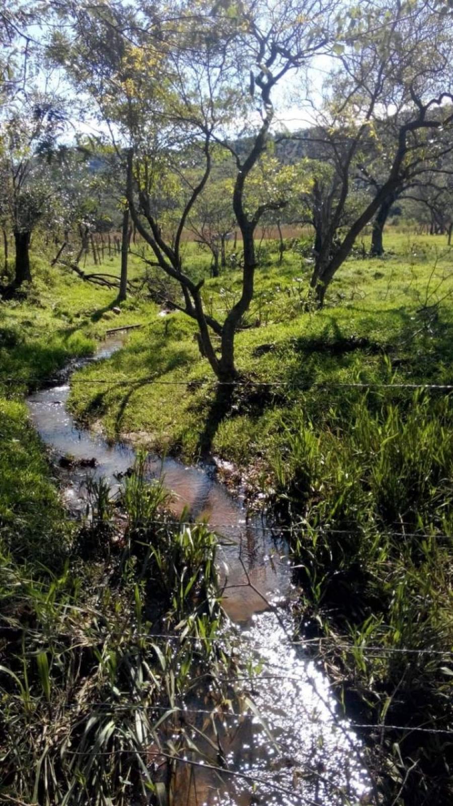 Foto Terreno en Venta en Compaa de Arroyo Pora, Sapucai, Paraguar - 6 hectareas - U$D 120.000 - TEV1035 - BienesOnLine