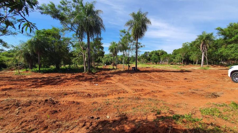 Foto Terreno en Venta en Campo verde, Capiat, Central - 13 hectareas - G 920.000 - TEV1510 - BienesOnLine